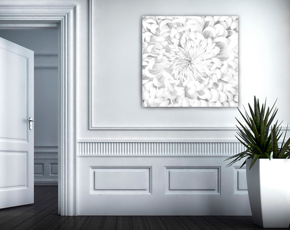 white chrysanthemum / entrance hall